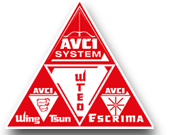 Kampfkunst in Gommern